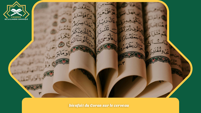 bienfait du Coran sur le cerveau